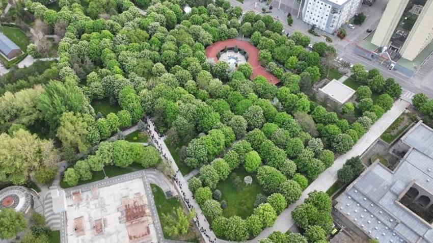 Kayseri'de ücretsiz dağıtıldı! 300 bin adet kapış kapış gitti: Alan bahçesine koştu
