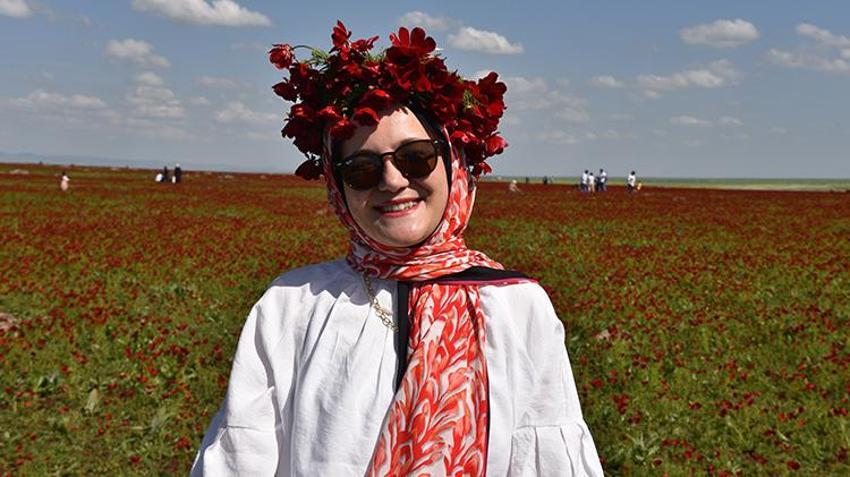 Şanlıurfa'da gelincik tarlaları kırmızıya büründü: Ziyaretçi akınına uğruyor