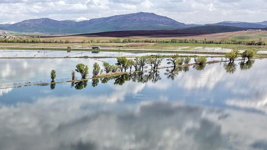 Sivas'ta bin 500 dönümlük arazi su altında kaldı: Göçmen kuşlar konaklamaya başladı