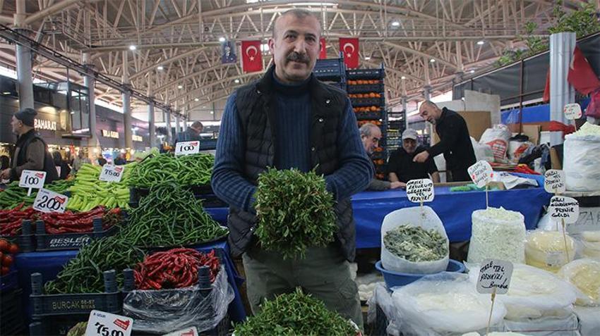 Bedavadan para kazanıyorlar! Yabani otların arasından jilet yardımıyla tek tek topluyorlar