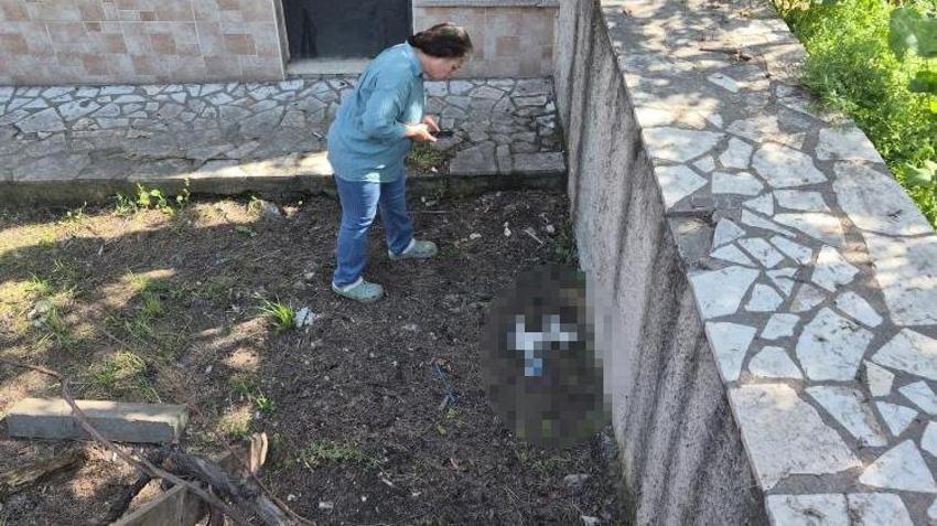 Eskişehir’de korkunç iddia: Kediler peş peşe öldü, mahalleli ayağa kalktı