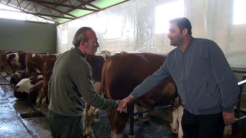 Hatay'da 1 tonluk dev boğa kurbanlık için satışa çıktı!