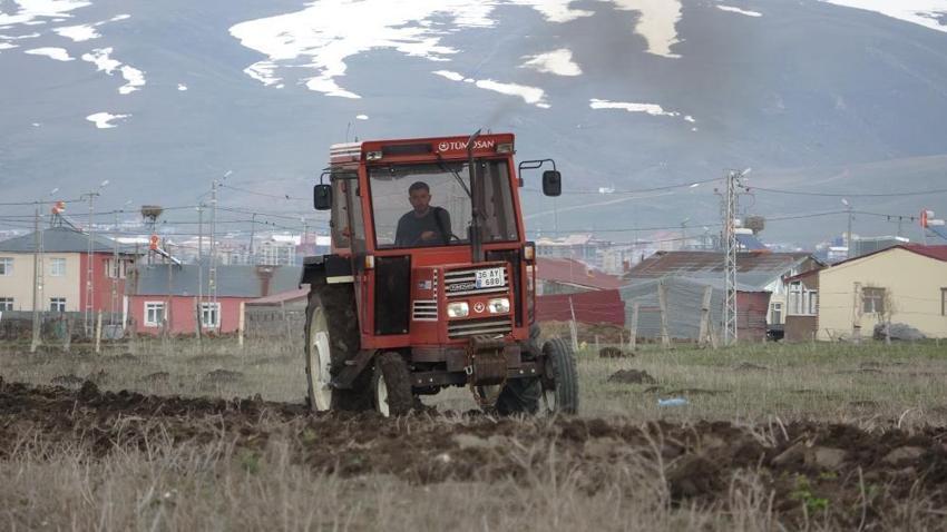 Ardahan’da karlar eridi, çiftçi tarlalara indi! Arpa ve buğdayda rekor verim bekleniyor