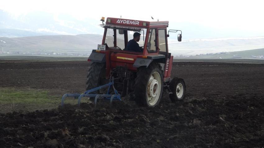 Ardahan’da karlar eridi, çiftçi tarlalara indi! Arpa ve buğdayda rekor verim bekleniyor