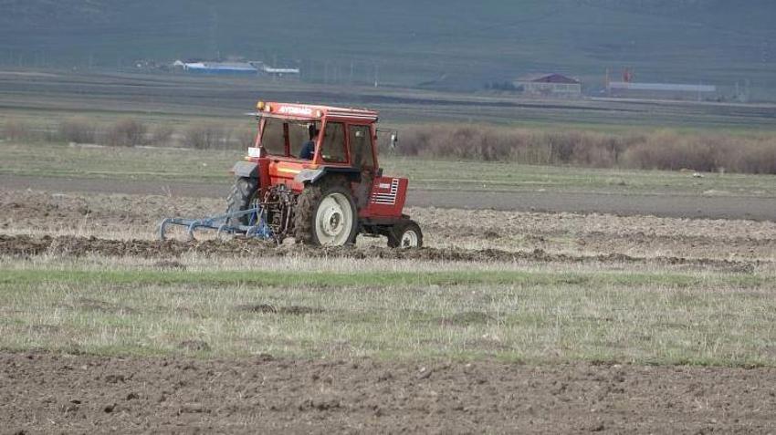 Ardahan’da karlar eridi, çiftçi tarlalara indi! Arpa ve buğdayda rekor verim bekleniyor