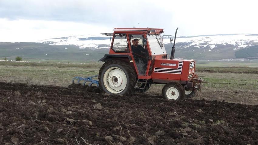 Ardahan’da karlar eridi, çiftçi tarlalara indi! Arpa ve buğdayda rekor verim bekleniyor