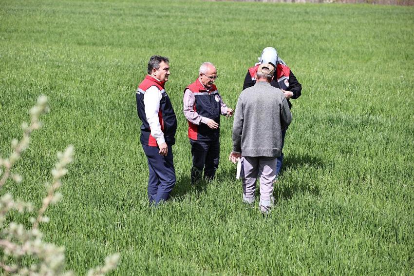 Sivas'ta yağışlar sonrası çiftçilere hububat tarlaları için kritik uyarı: Hastalık çıkmadan önce alınan tedbirler verimi korur