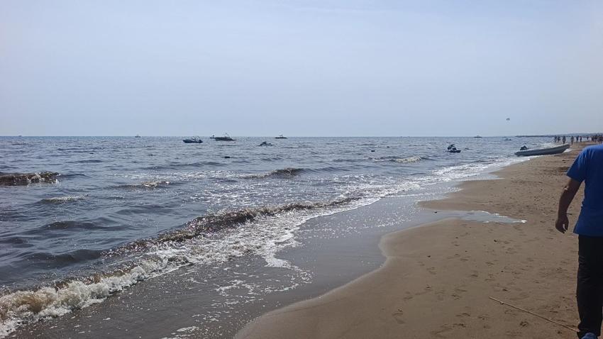 Manavgat'da 'pes' dedirten görüntü cezasız kalmadı: Tamamı nehre bırakılıyor, deniz perişan oldu