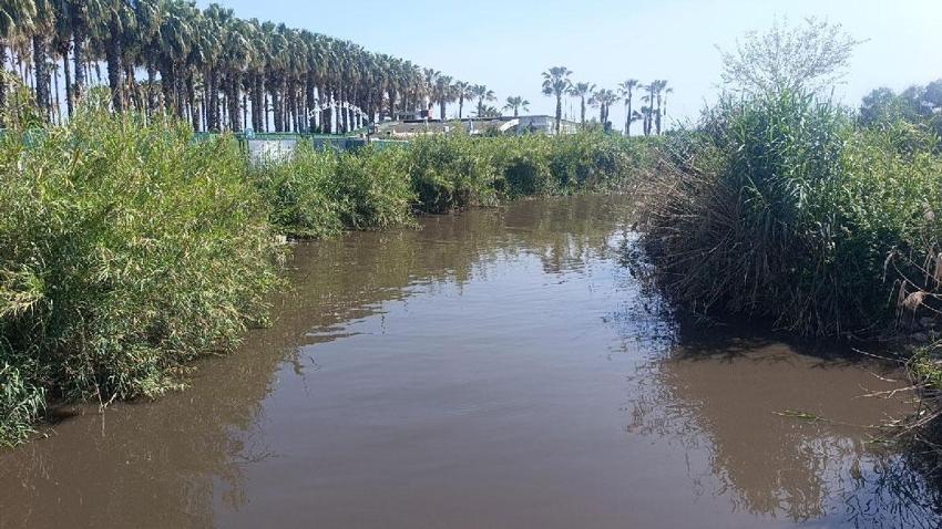 Manavgat'da 'pes' dedirten görüntü cezasız kalmadı: Tamamı nehre bırakılıyor, deniz perişan oldu