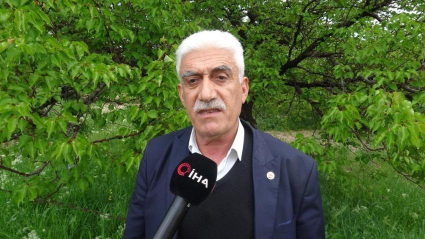 Malatya kayısısında zirai don ve iklim şartları verim beklentisini düşürdü!