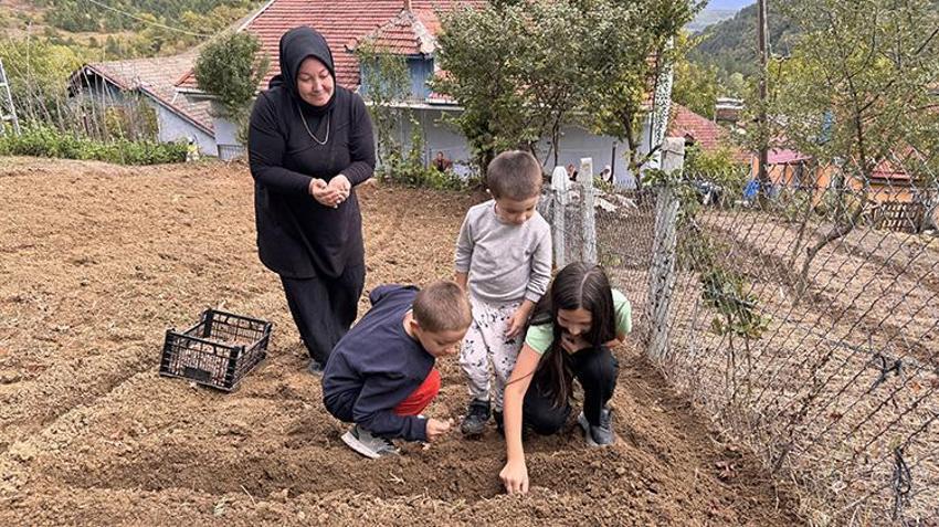 Doğa yürüyüşünde gördüğü çiçek geçim kaynağı oldu: 3 dönümde 600 kilo 'beyaz altın' yetiştirdi