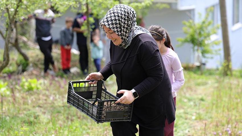 Doğa yürüyüşünde gördüğü çiçek geçim kaynağı oldu: 3 dönümde 600 kilo 'beyaz altın' yetiştirdi