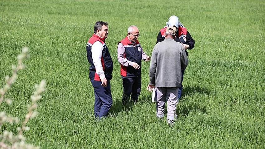 Sivas Valiliği çiftçiyi uyardı! Yağışlar nedeniyle tarımda 'sarı pas' alarmı