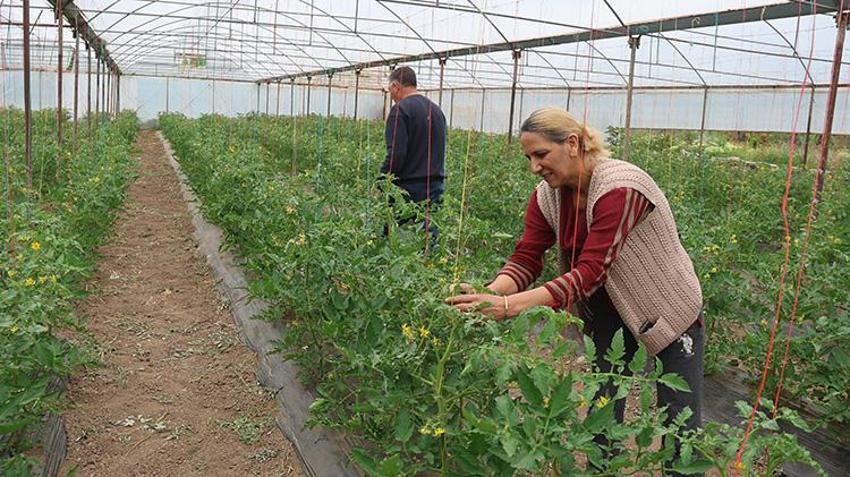 Şehri bırakıp köye döndüler, 150 dönümde dev bir üretim üssü kurdular: 30 aileye maaş ödüyorlar