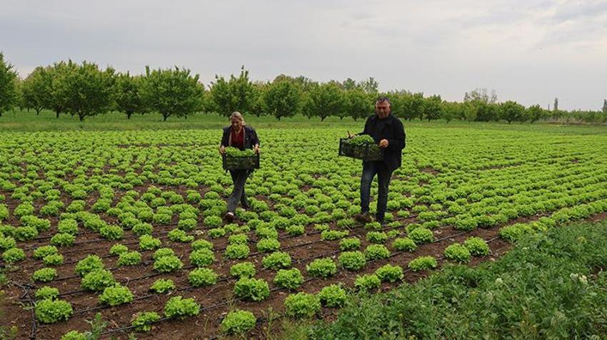 Şehri bırakıp köye döndüler, 150 dönümde dev bir üretim üssü kurdular: 30 aileye maaş ödüyorlar