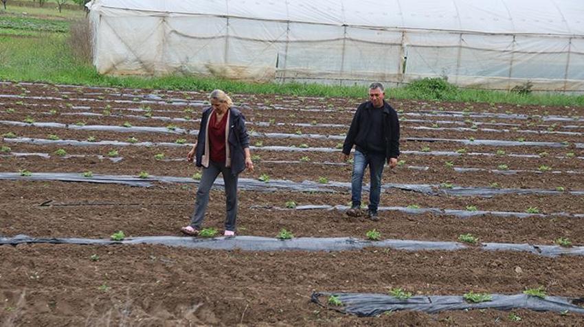 Şehri bırakıp köye döndüler, 150 dönümde dev bir üretim üssü kurdular: 30 aileye maaş ödüyorlar