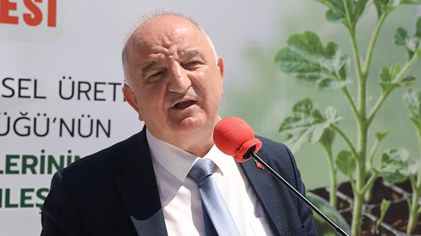 Edirne'de 63 çiftçiye 60 bin aşılı fide dağıtıldı: Bin tonun üzerinde rekolte bekleniyor!