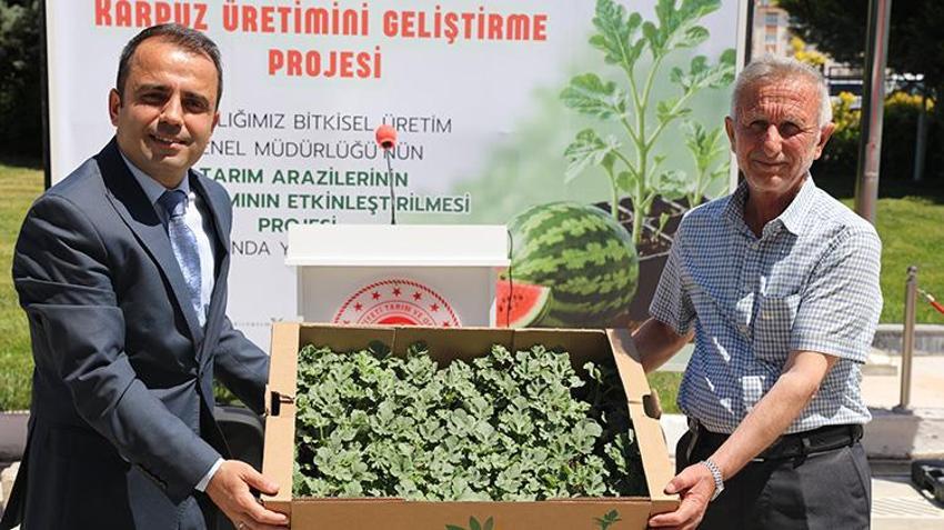 Edirne'de 63 çiftçiye 60 bin aşılı fide dağıtıldı: Bin tonun üzerinde rekolte bekleniyor!