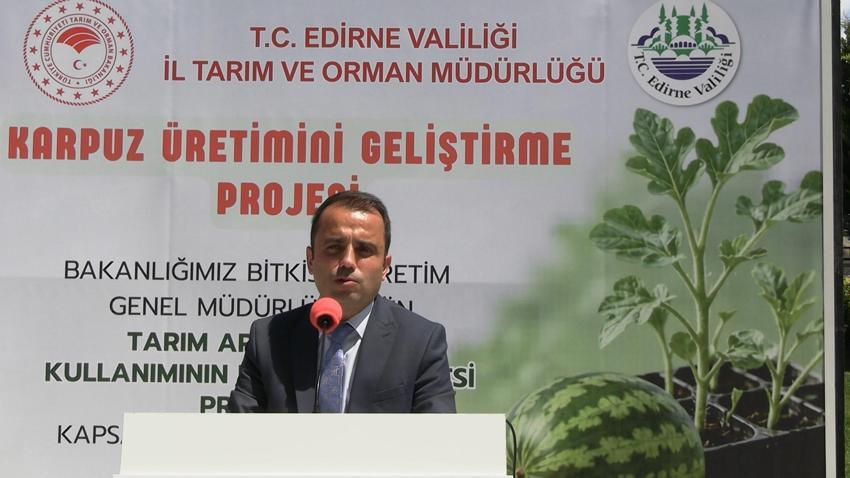 Edirne buğday, ayçiçeği ve çeltik ile Türkiye'de ilk sırada: 63 çiftçiye 60 bin fide dağıtıldı