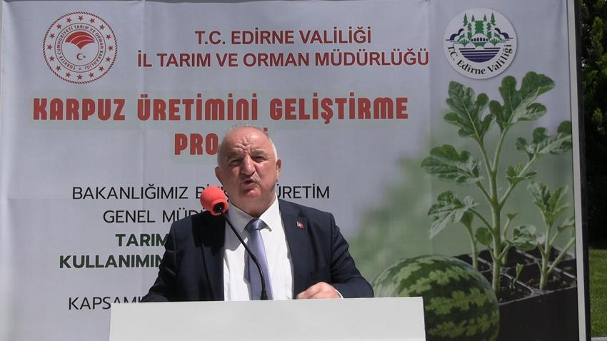 Edirne buğday, ayçiçeği ve çeltik ile Türkiye'de ilk sırada: 63 çiftçiye 60 bin fide dağıtıldı
