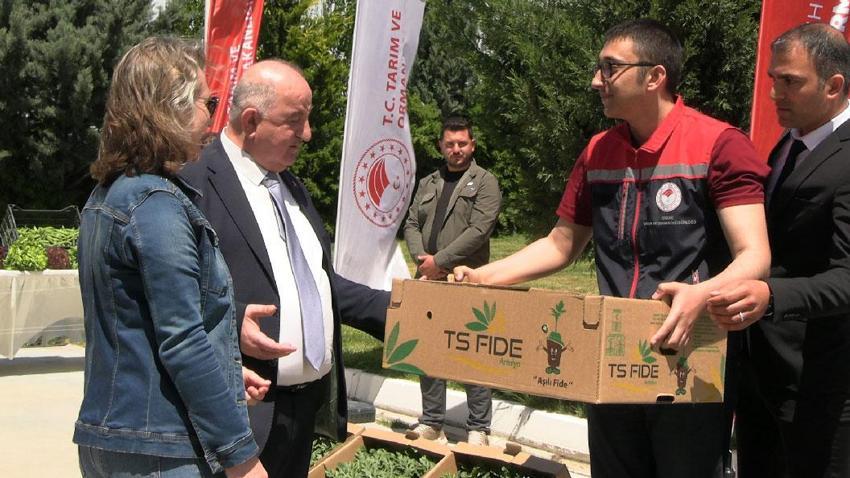 Edirne buğday, ayçiçeği ve çeltik ile Türkiye'de ilk sırada: 63 çiftçiye 60 bin fide dağıtıldı