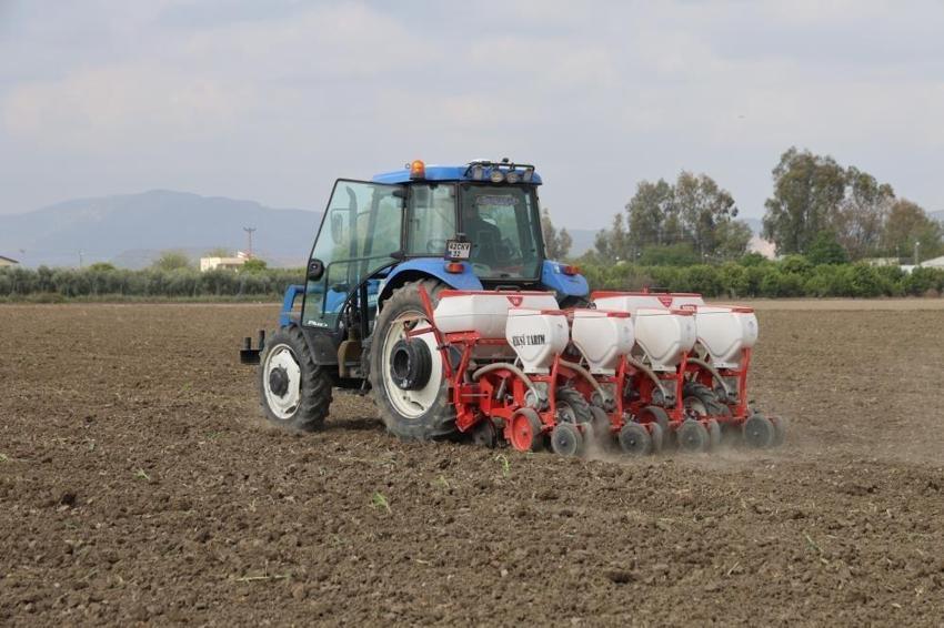Adana'da dönüm başına 10 bin TL zarar: Arazi zarar görünce alternatif ürün bulundu
