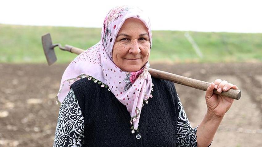 İstanbul'dan gelin geldi, köyün üretim lokomotifi oldu: Mesai gün doğmadan başlıyor!