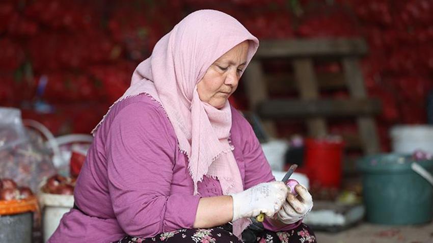 İstanbul'dan gelin geldi, köyün üretim lokomotifi oldu: Mesai gün doğmadan başlıyor!