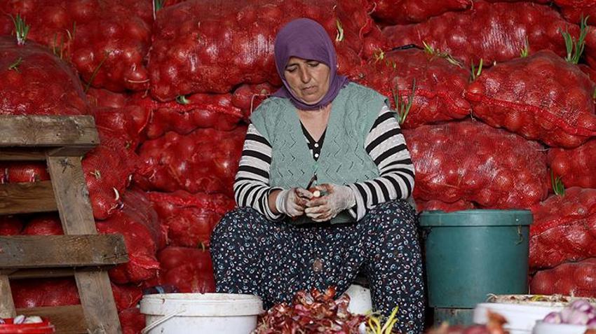 İstanbul'dan gelin geldi, köyün üretim lokomotifi oldu: Mesai gün doğmadan başlıyor!