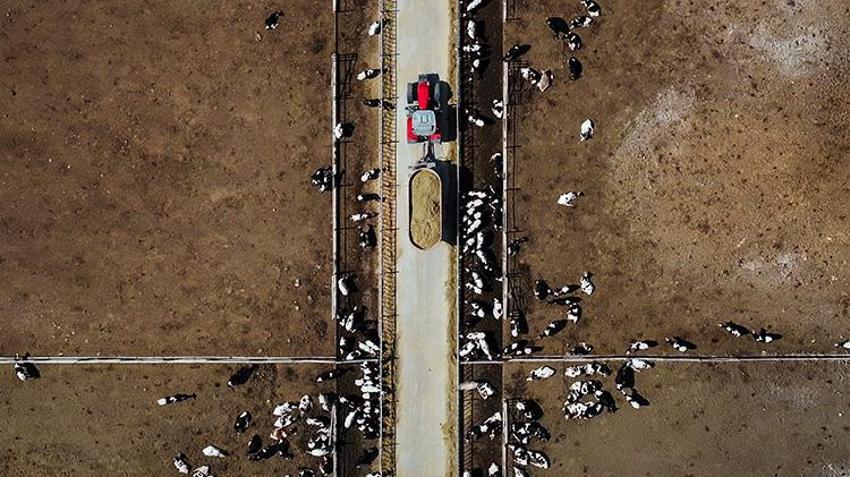 Seradaki boş vaktini değerlendirmek istedi, Türkiye'nin en büyük 5 çiftliğinden birini kurdu! Süt Kardeşler filminden ilham aldı, günlük 75 ton üretmeye başladı