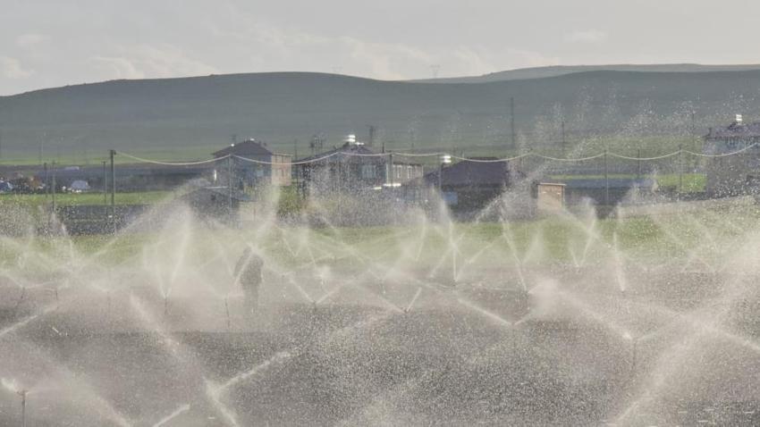 Adilcevaz Ovası’nda beyaz altın mesaisi başladı! Çiftçiler şafak vakti tarlalara indi: Yağışlar yüzleri güldürdü