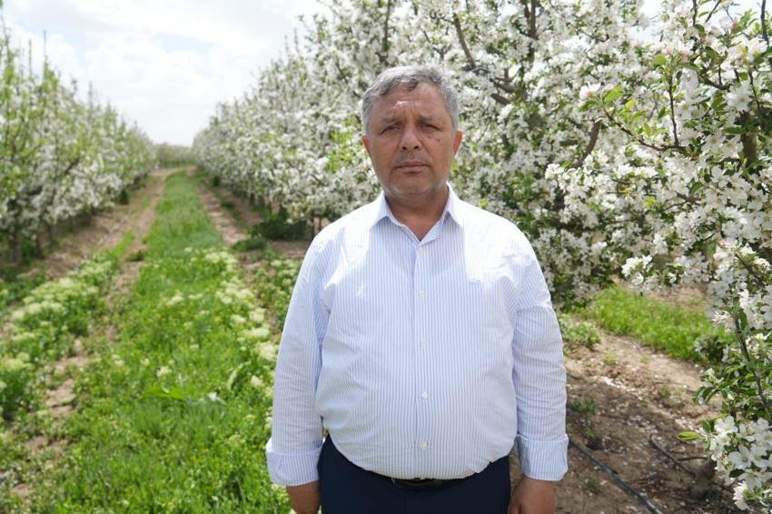 Elma fiyatlarında stok oyunu! Sektör temsilcisinden çarpıcı itiraf: Yok algısıyla fiyatlar yükseldi, tüccar ucuza satmıyor