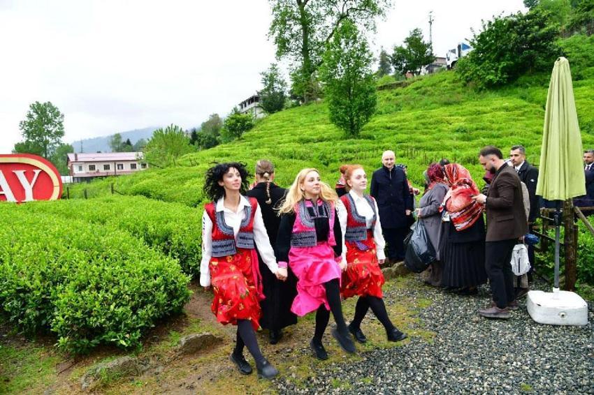 Trabzon'da 2026 yılı yaş çay sezonu dualarla açıldı