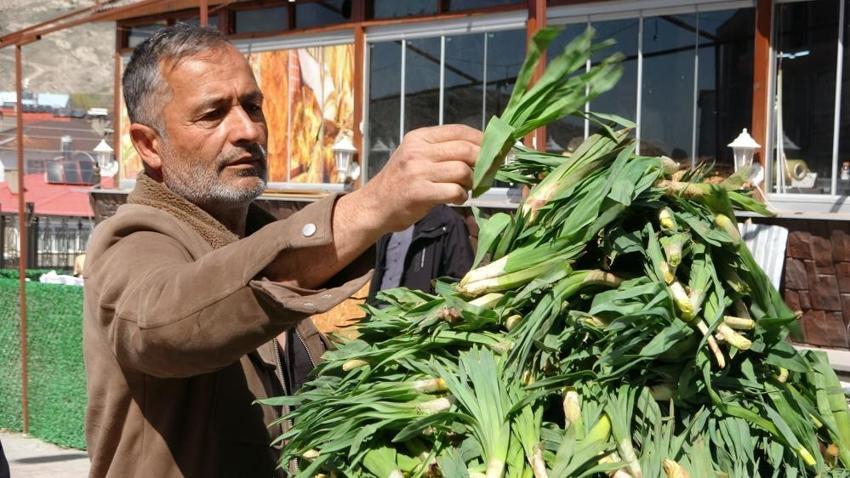 Van'da 2 bin metre yükseklikte yetişiyor! 100 TL'den satışa çıktı, pazara gelir gelmez bitiyor