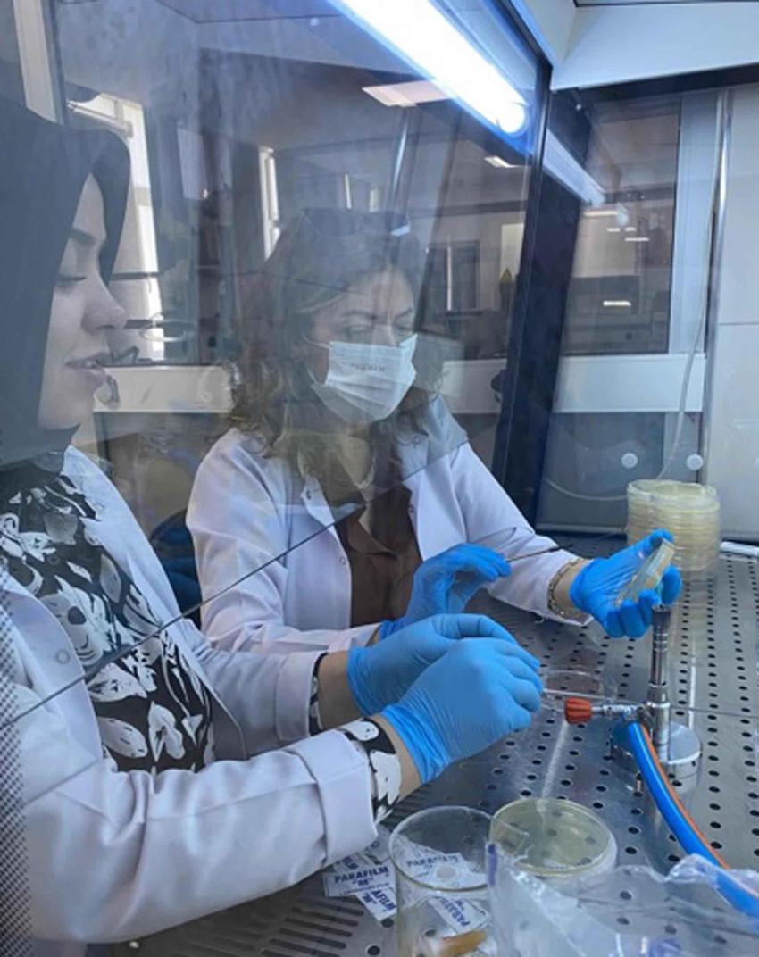 Erzurumlu bilim insanları bakterilerden doğal boya üretti: 2 bin yıllık motifler mikrobiyal pigmentlerle dokundu!