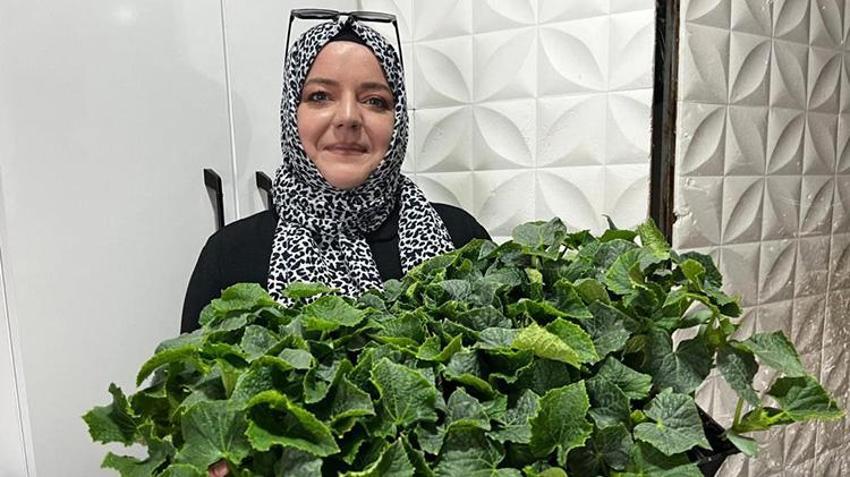 Denizli'de fidecilerde büyük yoğunluk! Tarla ve balkonlar için 'yeşil seferberlik' başladı