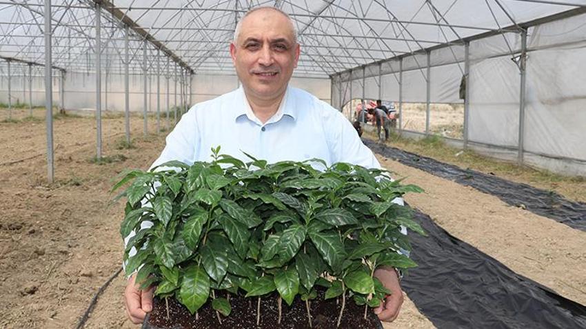 Çukurova'da bir ilk hayata geçiyor: 'Adana kahvesini dünyaya yaymak istiyoruz'