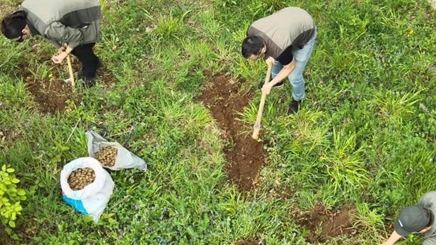 Kocaeli'de 40 kilo toplayan kişiye 700 bin TL ceza kesildi!