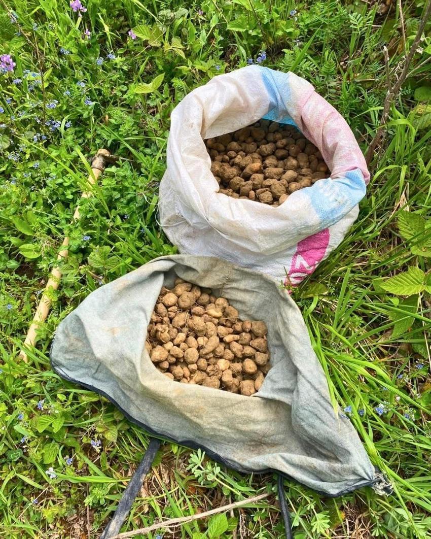 Kocaeli'de 40 kilo toplayan kişiye 700 bin TL ceza kesildi!
