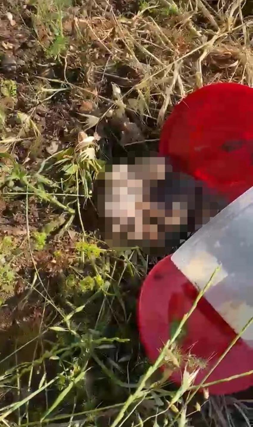 Şanlıurfa'da mezarlıkta dehşete düşüren görüntü! Plastik varilde 21 insan cenini bulundu