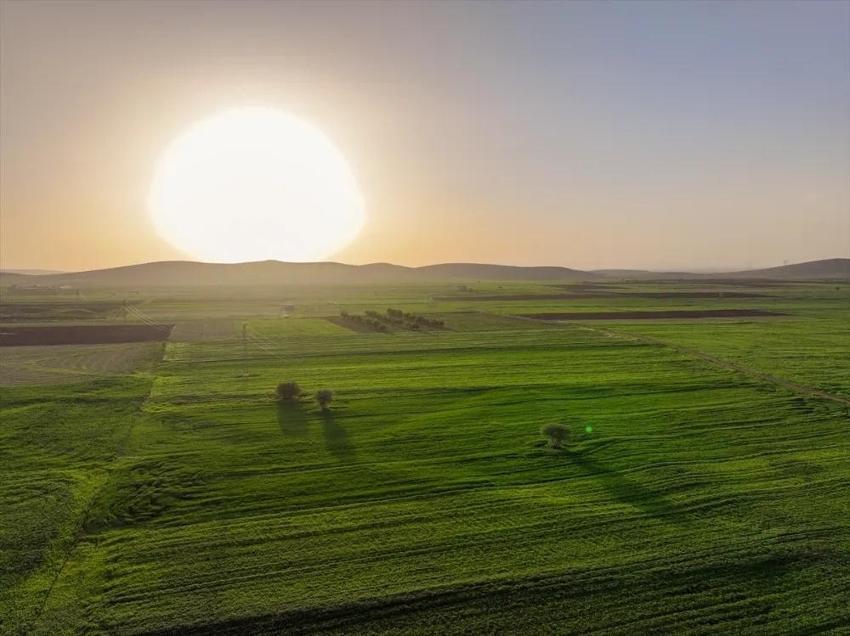 Konya'da çiftçinin yüzde 80 hesabı: Bu yıl kazançları artacak