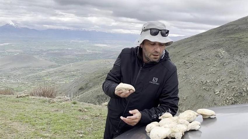 Resmen altınla yarışıyor! Bedavaya toplayıp kilosunu 2 bin liradan satıyorlar