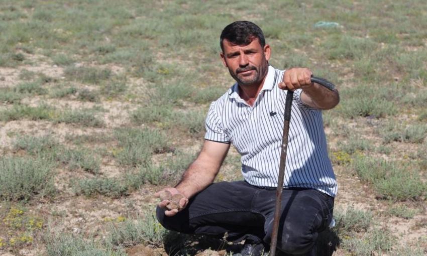 Günlük 60 bin liralık mantar topluyor: Konya'da dolaman kurdu mesaiye başladı