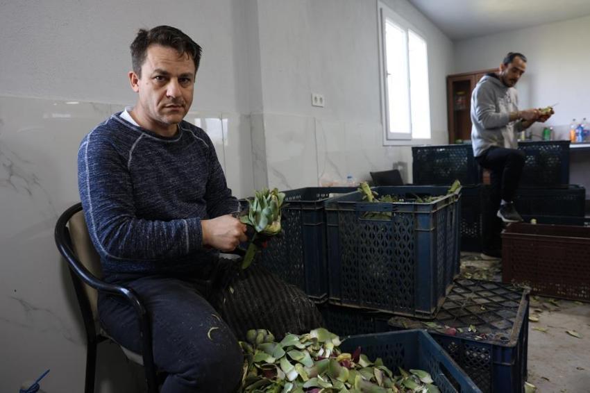 İki kardeş İstanbul'dan Aydın'a gelip bu işe girdiler: Günde 2 bin adet hazırlayıp yüksek gelir elde ediyorlar