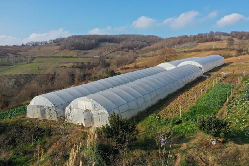 Kocaeli'de çiftçinin gelirini katlayacak proje! Son başvuru tarihi belli oldu