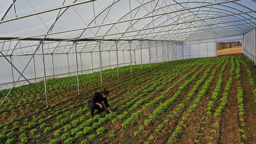 Kocaeli'de çiftçinin gelirini katlayacak proje! Son başvuru tarihi belli oldu