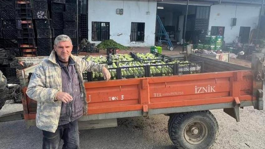 Bursa'da sezonun ilk hasadı başladı! Tarladaki fiyat üreticinin yüzünü güldürdü: Kapış kapış gidiyor!