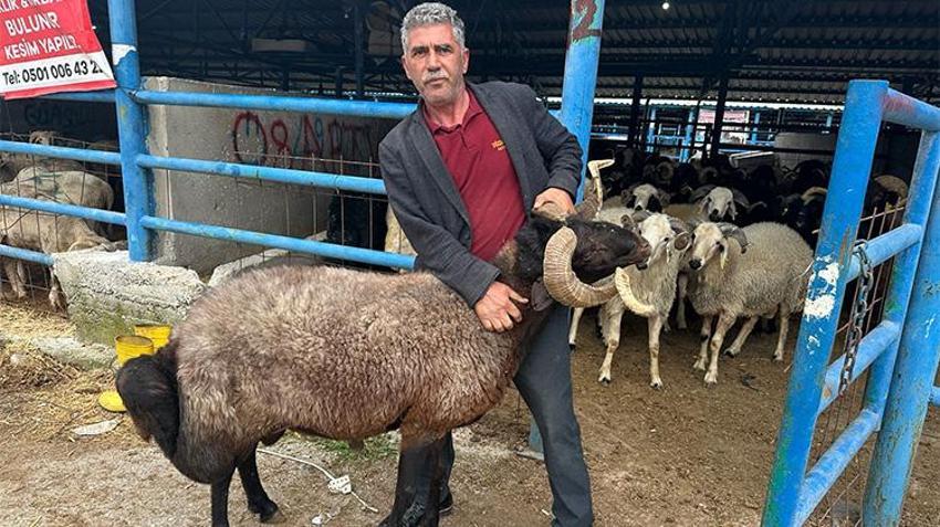 Kurban pazarında besicinin isyanı: Daha satmadan 650 bin lira gitti!