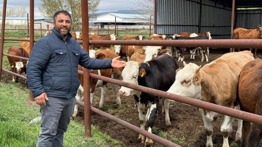 Eskişehir'de kurbanlıklar kapış kapış gitti! Pazarda büyükbaş hayvan kalmadı