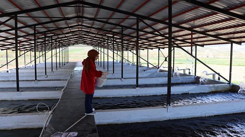 Erzincanlı girişimci 25 yıl sonra memleketine döndü, Bakanlık desteğiyle milyonluk balık tesisi kurdu! İhracata katkı sağlıyor, bu yılda hedefi 20 milyon üretecek!